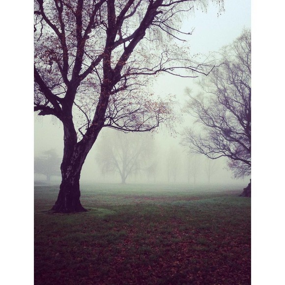 DO NOT BUY: Fantastic Rubber Mouse - Picture 3 of 8